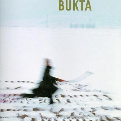 Bukta Imre - Kibontott táj